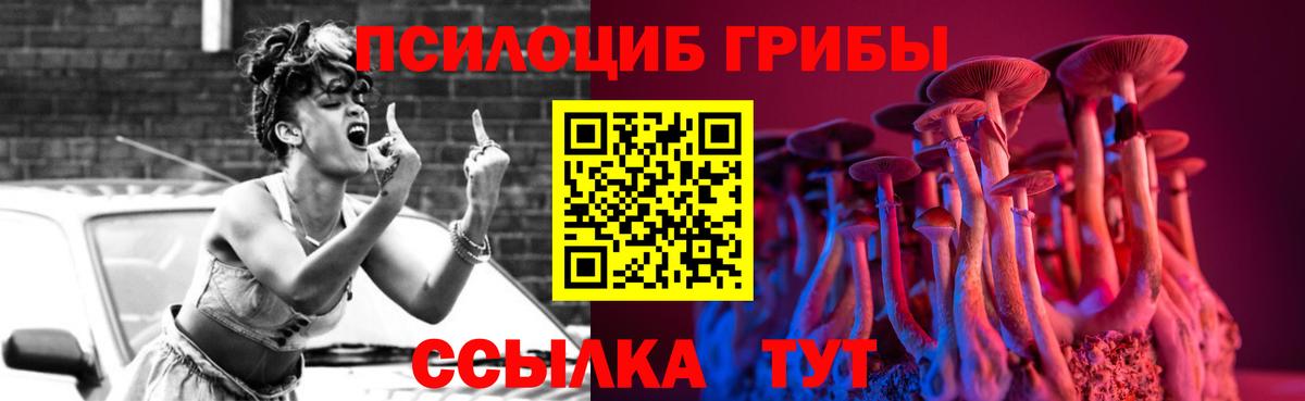 наркотики  Галлюциногенные грибы Magic Shrooms  Вход с VPN  Свободный  Галлюциногенные грибы прущие грибы 