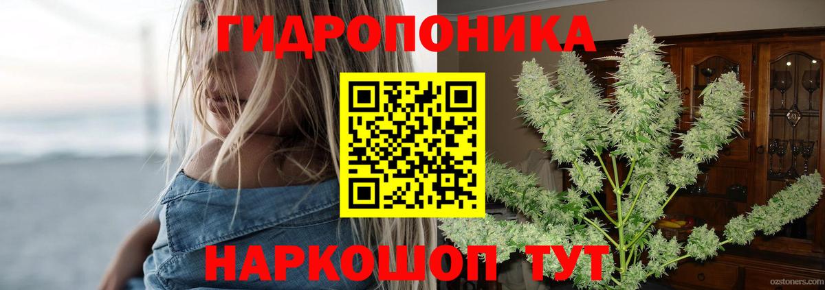 Конопля семена Свободный